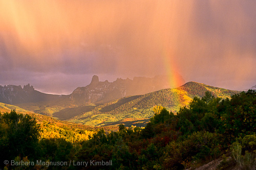 Rainbow touching oaks and aspens in autumn; Owl Creek Pass, Colorado