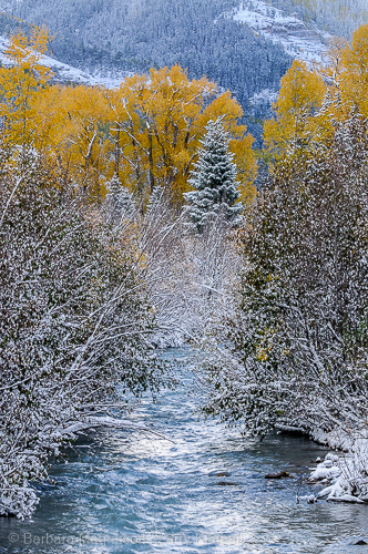 Fresh new snow decorates an autumn landscape along the Cimarron River, Owl Creek Pass, Colorado