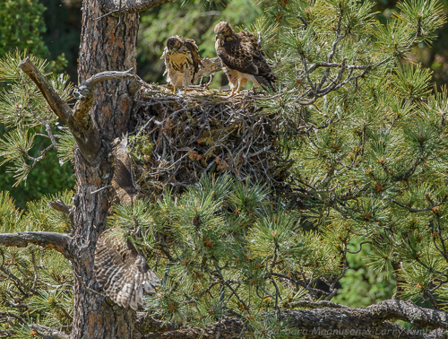 Sheesh....get a grip.