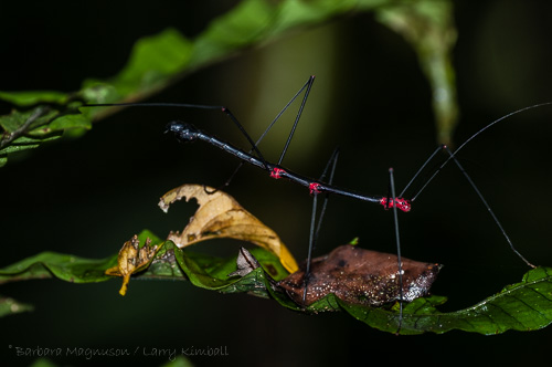 Creatures aren't always visible but when found it seems they are always fascinating.