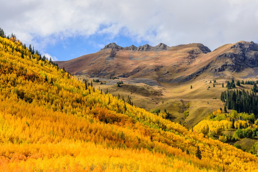 Red Mountain Pass in autumn color; CO