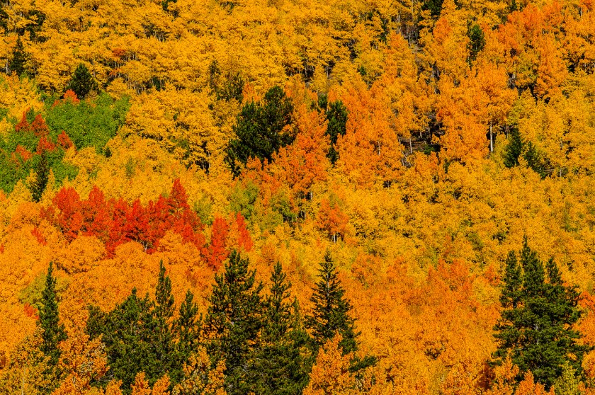 Autumn in the Rocky Mountains