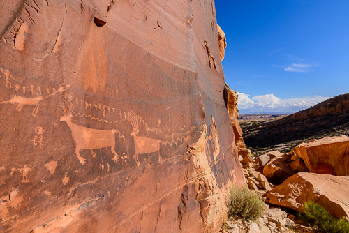 Procession Panel, Comb Ridge